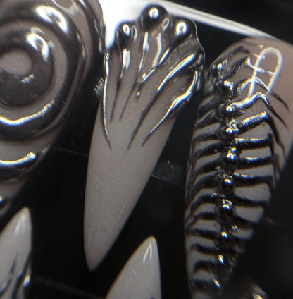 𝔅𝔩𝔞𝔠𝔨 𝔖𝔱𝔞𝔯